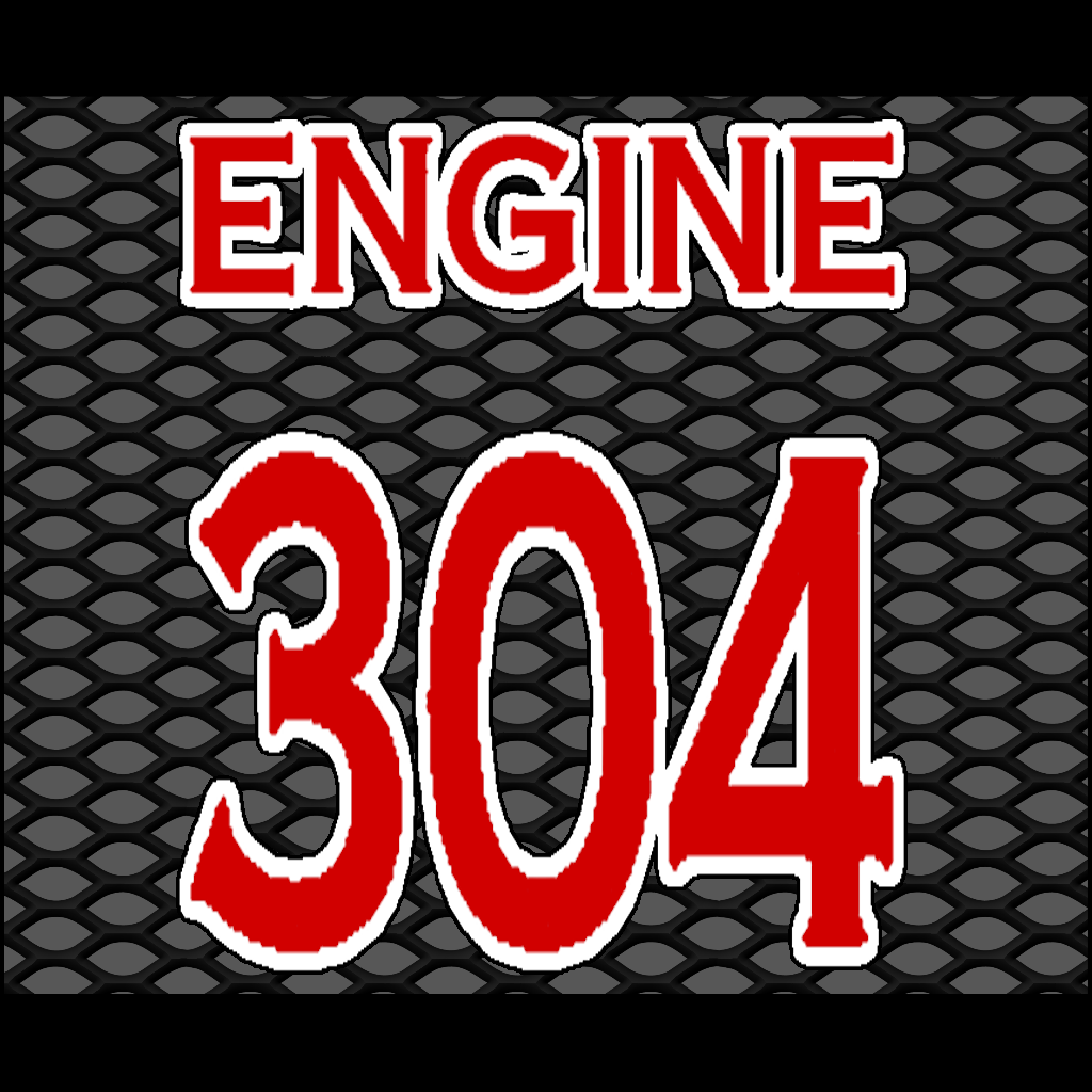 304g.png