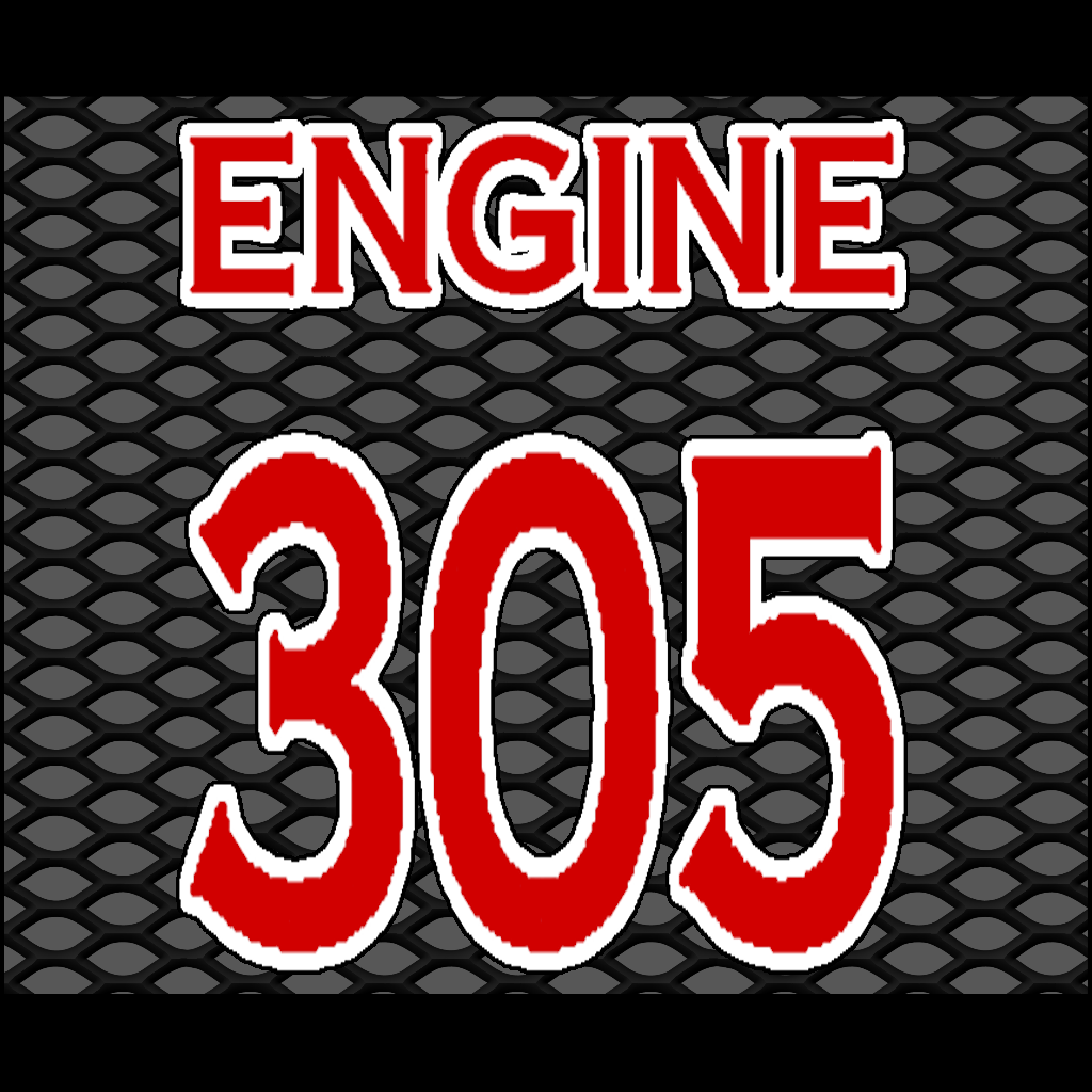 305g.png