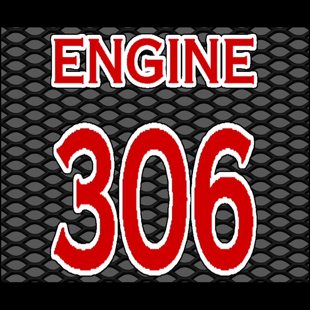 306g.png