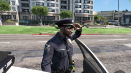 LSPD-4.png