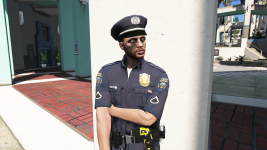 LSPD-8.png