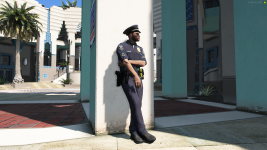 LSPD-7.png
