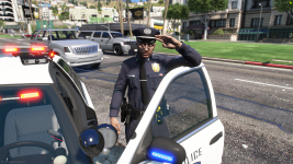 LSPD-3.png