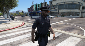 LSPD-1.png