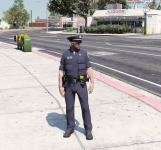 LSPD-9.PNG