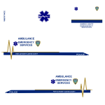 ITF_PORT_AUTHORITY_C_C_AMBULANCE_SKIN.png