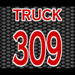 309g.png