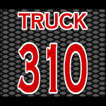 310g.png