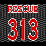 313g.png