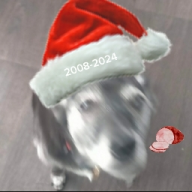 bert