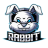rabbit Development