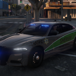 AP's 2019 Sheriff Charger