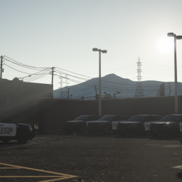 Plymouth, MN Based LSPD