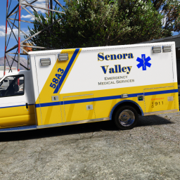 Senora Valley EMS