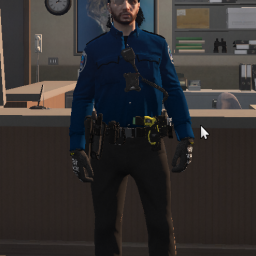 Paleto Bay PD Textures