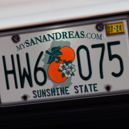 Florida Inspired License Plates