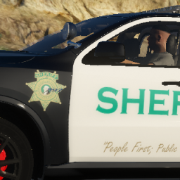 Washington Sheriffs Skin Pack