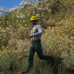 U.S. Department of Agriculture Forest Service Fire EUP | Fivem Ready