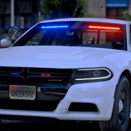 NON-ELS | Unmarked 2023 Dodge Charger | Feniex Lighting